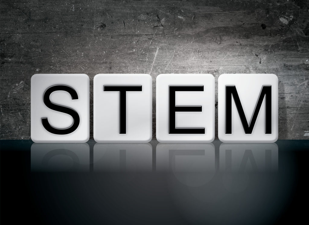The image shows the word STEM in block capitals to address the question why is it important to study stem?