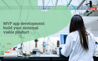 MVP app development: build your minimal viable product