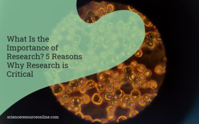 What Is the Importance of Research? 5 Reasons Why Research is Critical