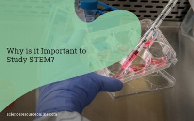 Why is it Important to Study STEM?